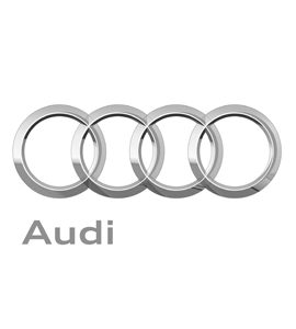 Audi Air Suspensions