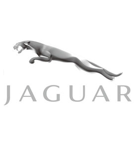 Jaguar Air Suspensions